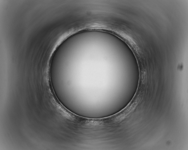 X0000100321374200806121054