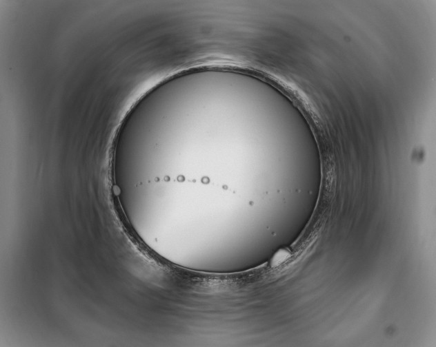 X0000100321375200806121054