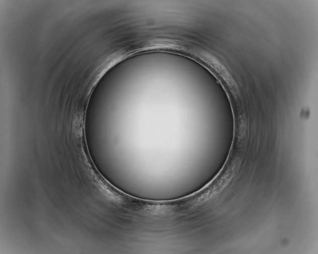 X0000100321377200806121054