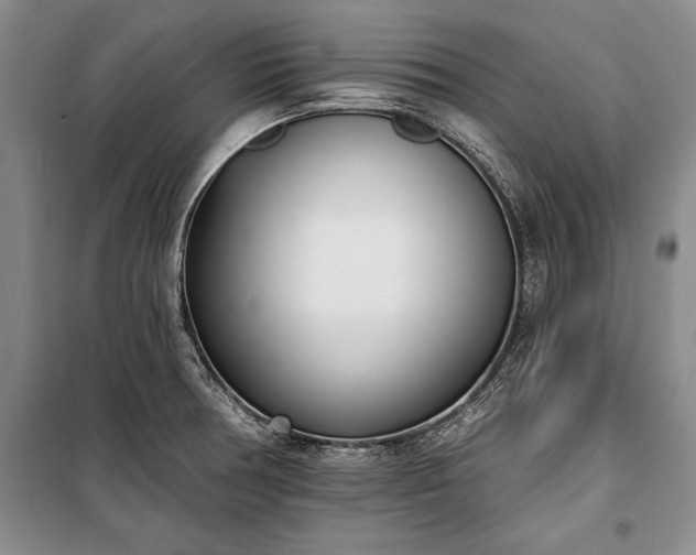 X0000100321378200806121053