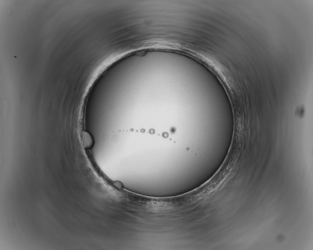 X0000100321379200806121053