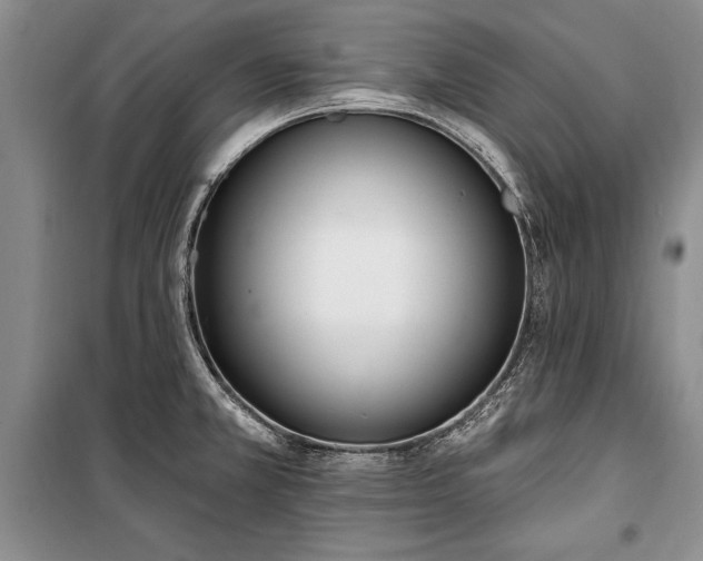 X0000100321381200806121053