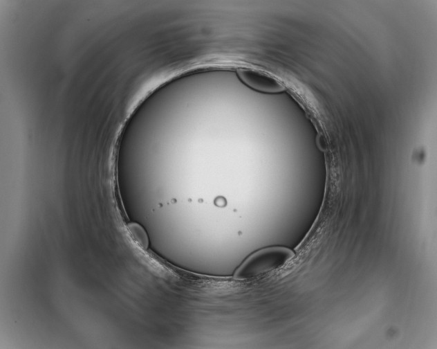 X0000100321382200806121053