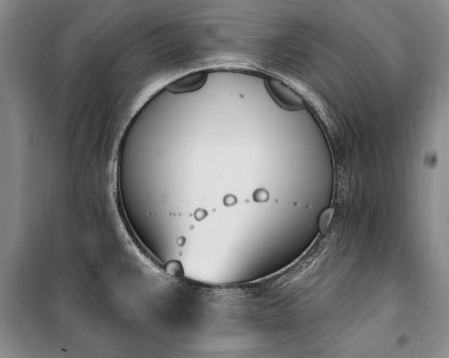 X0000100321383200806121053