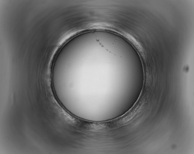 X0000100321384200806121053