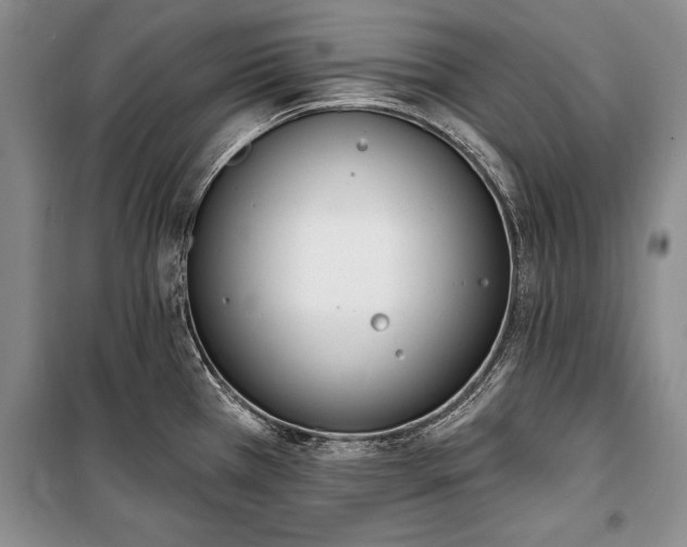 X0000100321385200806121053