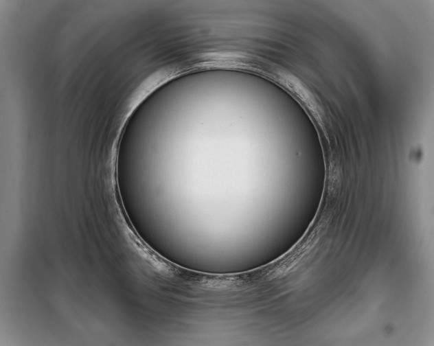 X0000100321386200806121053