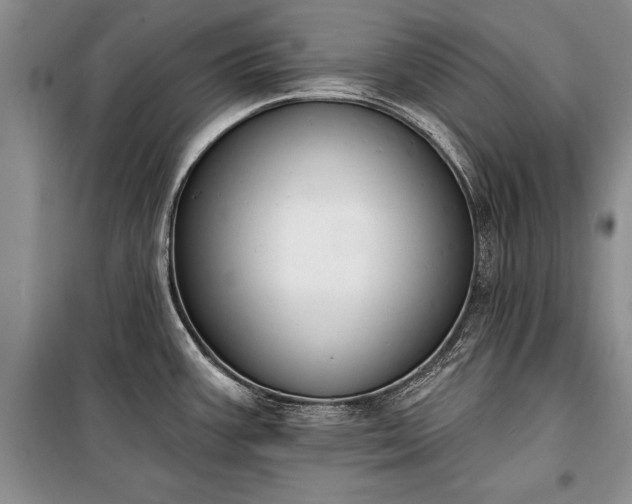 X0000100321387200806121053