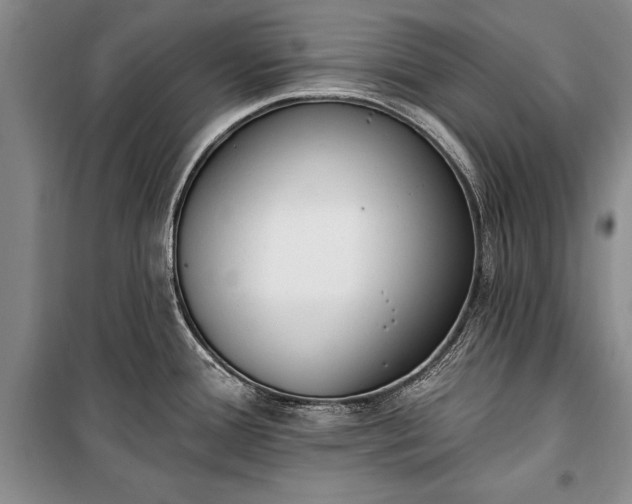 X0000100321388200806121053