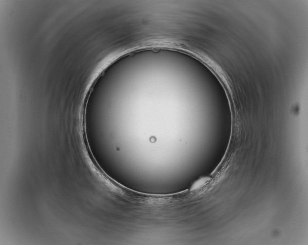 X0000100321389200806121053