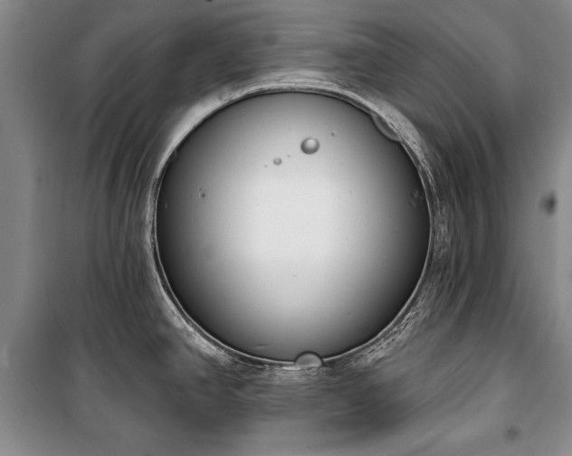 X0000100321390200806121053