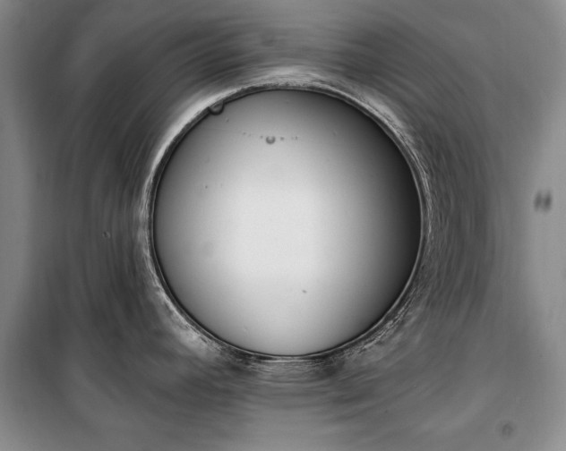 X0000100321392200806121053