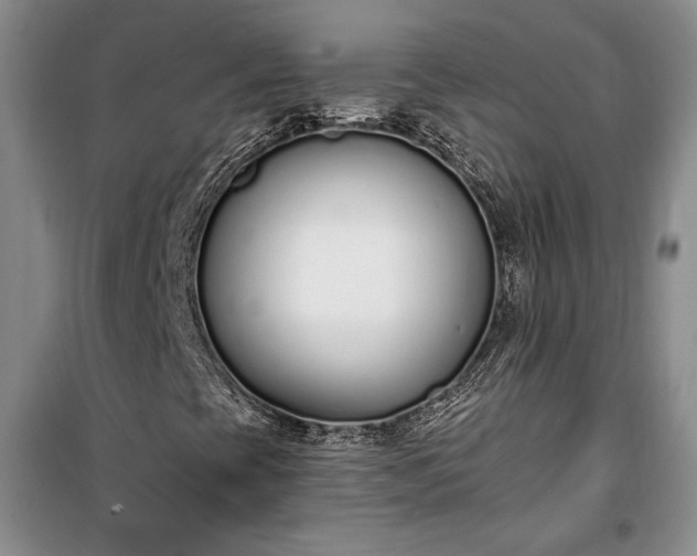 X0000100321393200806121053