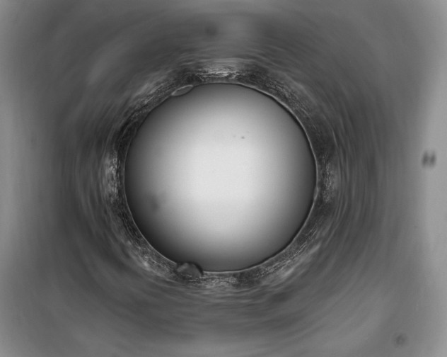 X0000100321394200806121053