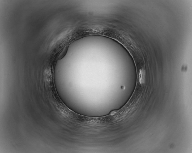 X0000100321395200806121053