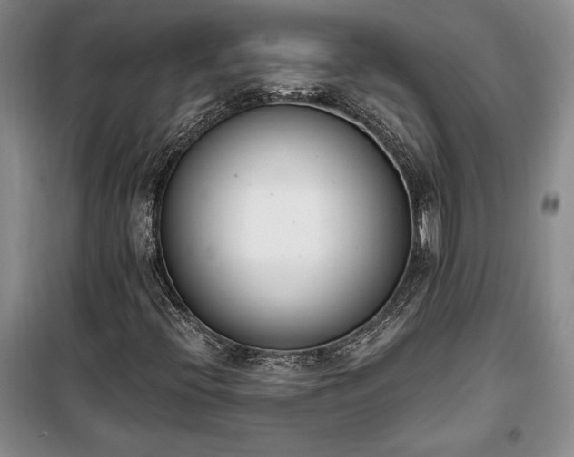 X0000100321396200806121053