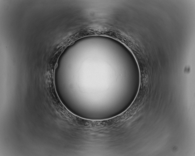 X0000100321397200806121053