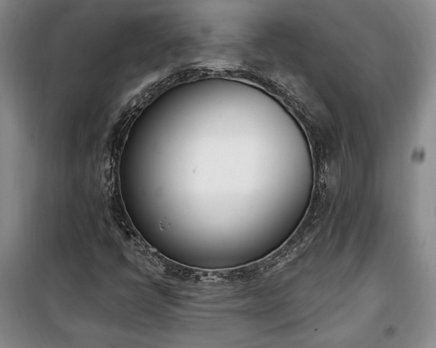 X0000100321398200806121053