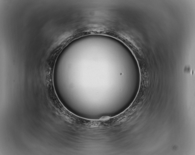 X0000100321399200806121053