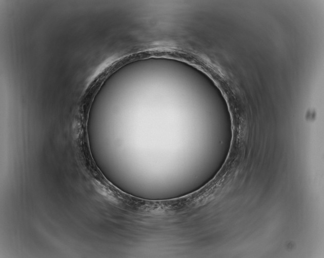 X0000100321400200806121053