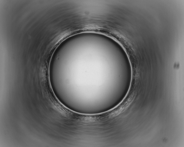 X0000100321401200806121053