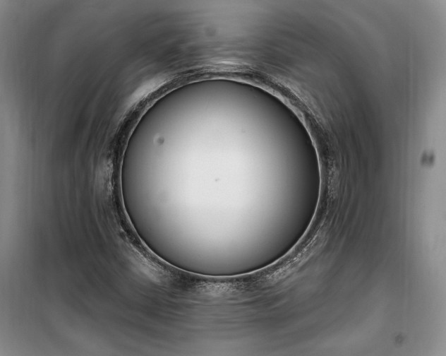 X0000100321402200806121053