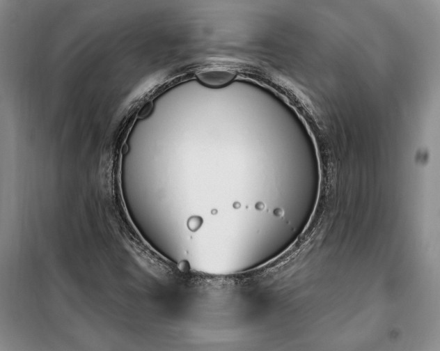 X0000100321403200806121053