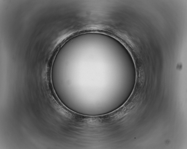 X0000100321404200806121053