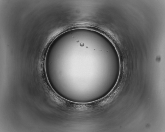 X0000100321405200806121053