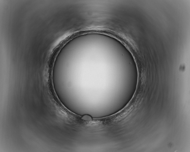 X0000100321406200806121053