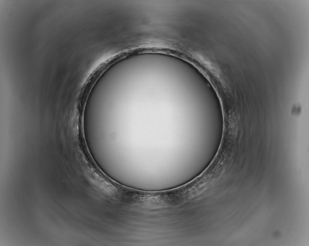 X0000100321408200806121053