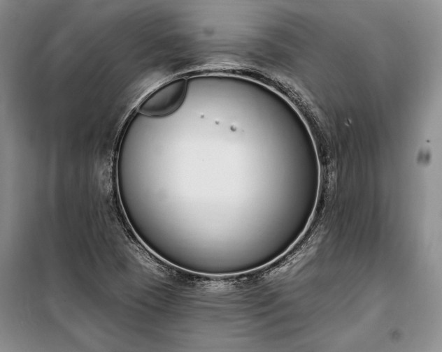 X0000100321409200806121053