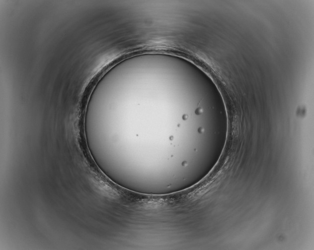 X0000100321410200806121053