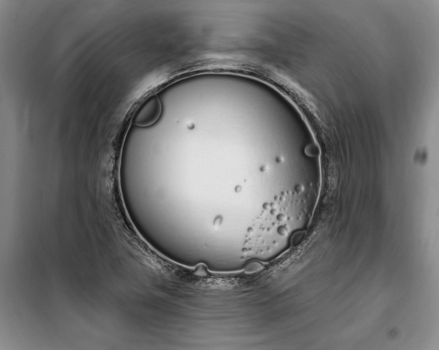 X0000100321411200806121053