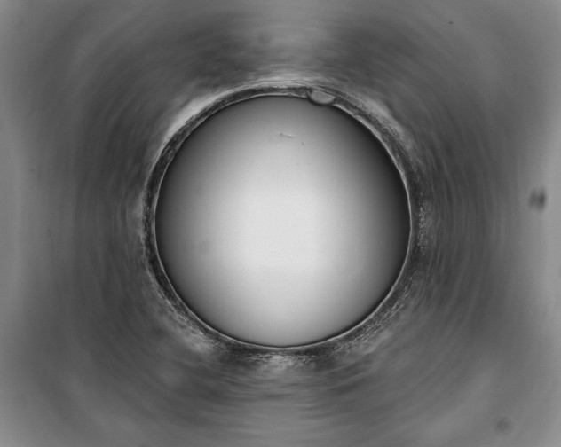 X0000100321412200806121053