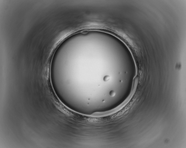 X0000100321413200806121053