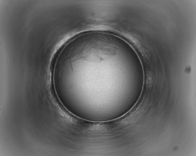 X0000100321414200806121053