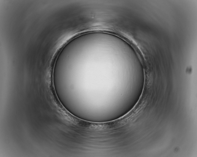 X0000100321415200806121053