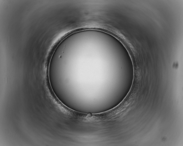 X0000100321416200806121053