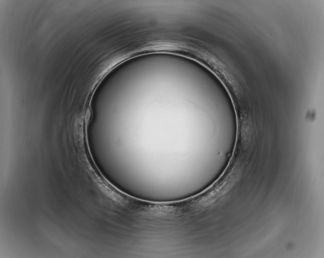 X0000100321417200806121053