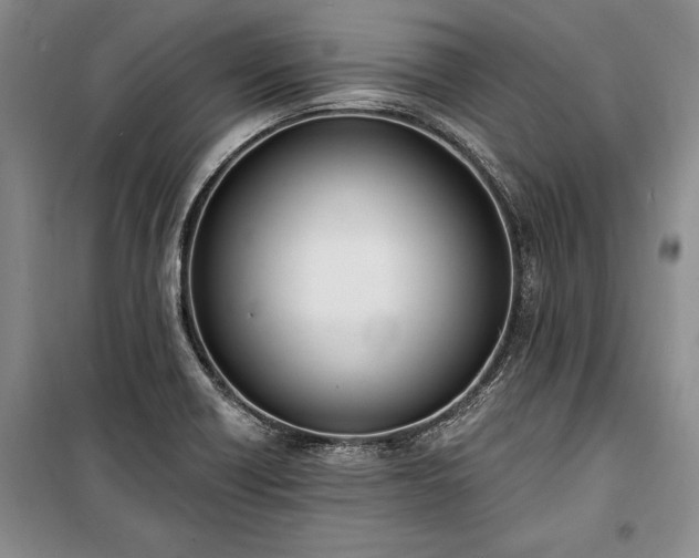 X0000100321418200806121053