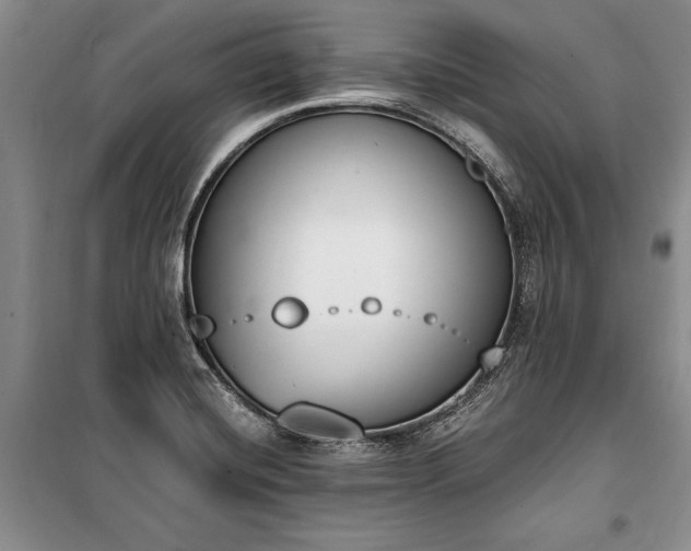 X0000100321420200806121053