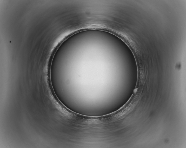 X0000100321422200806121053