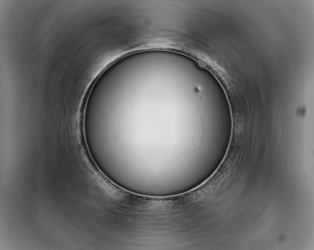 X0000100321423200806121053