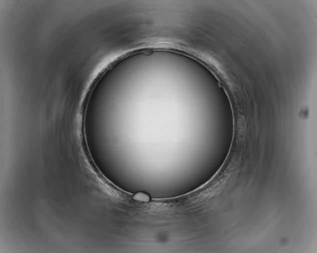 X0000100321424200806121053