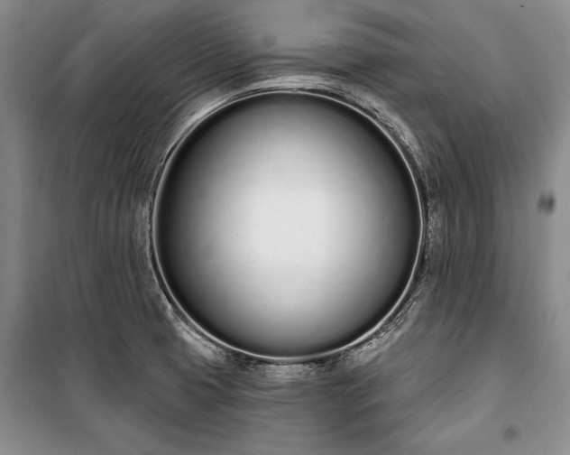 X0000100321425200806121053