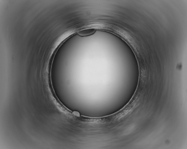 X0000100321426200806121053