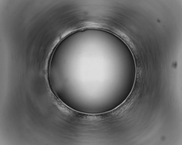 X0000100321427200806121053