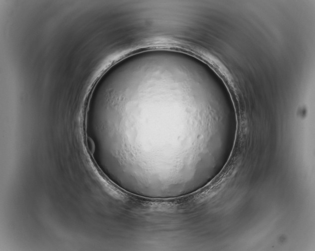 X0000100321429200806121053