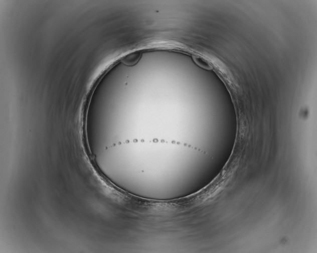 X0000100321430200806121053